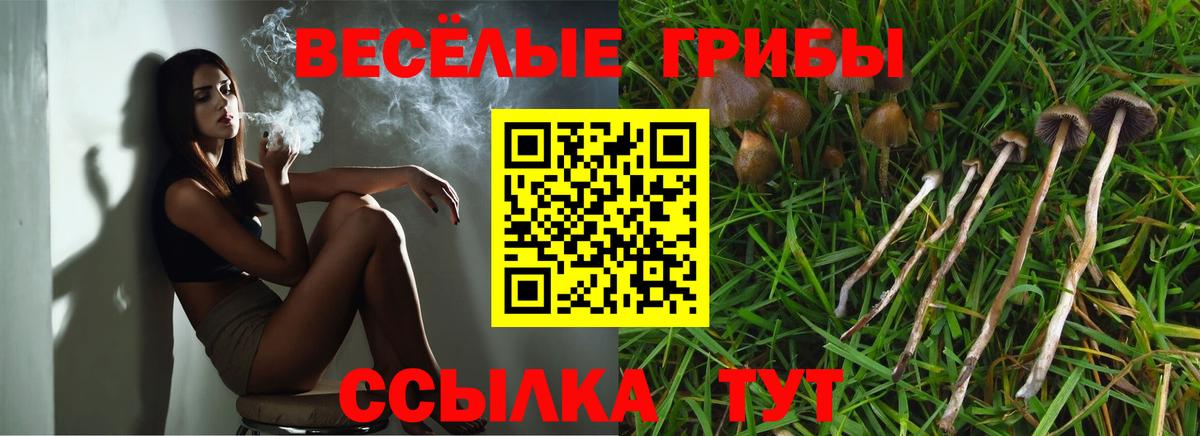 Верхний Уфалей  Галлюциногенные грибы Cubensis  Вход с VPN 