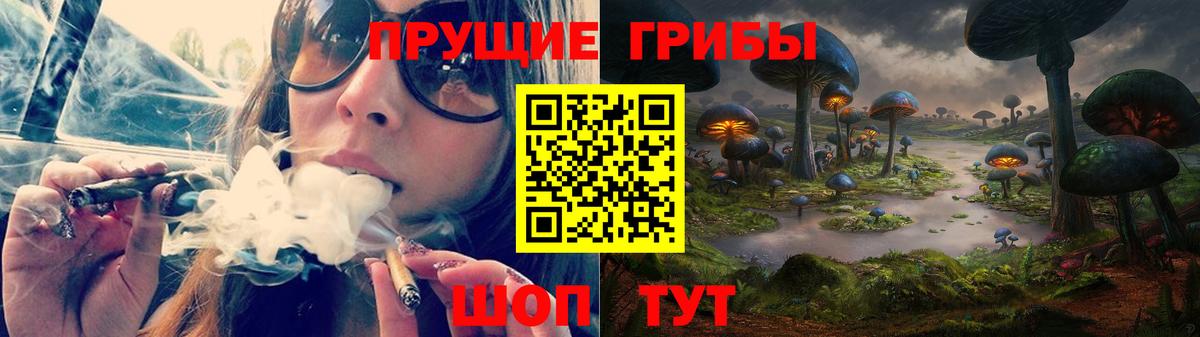 Псилоцибиновые грибы мицелий Верхний Уфалей